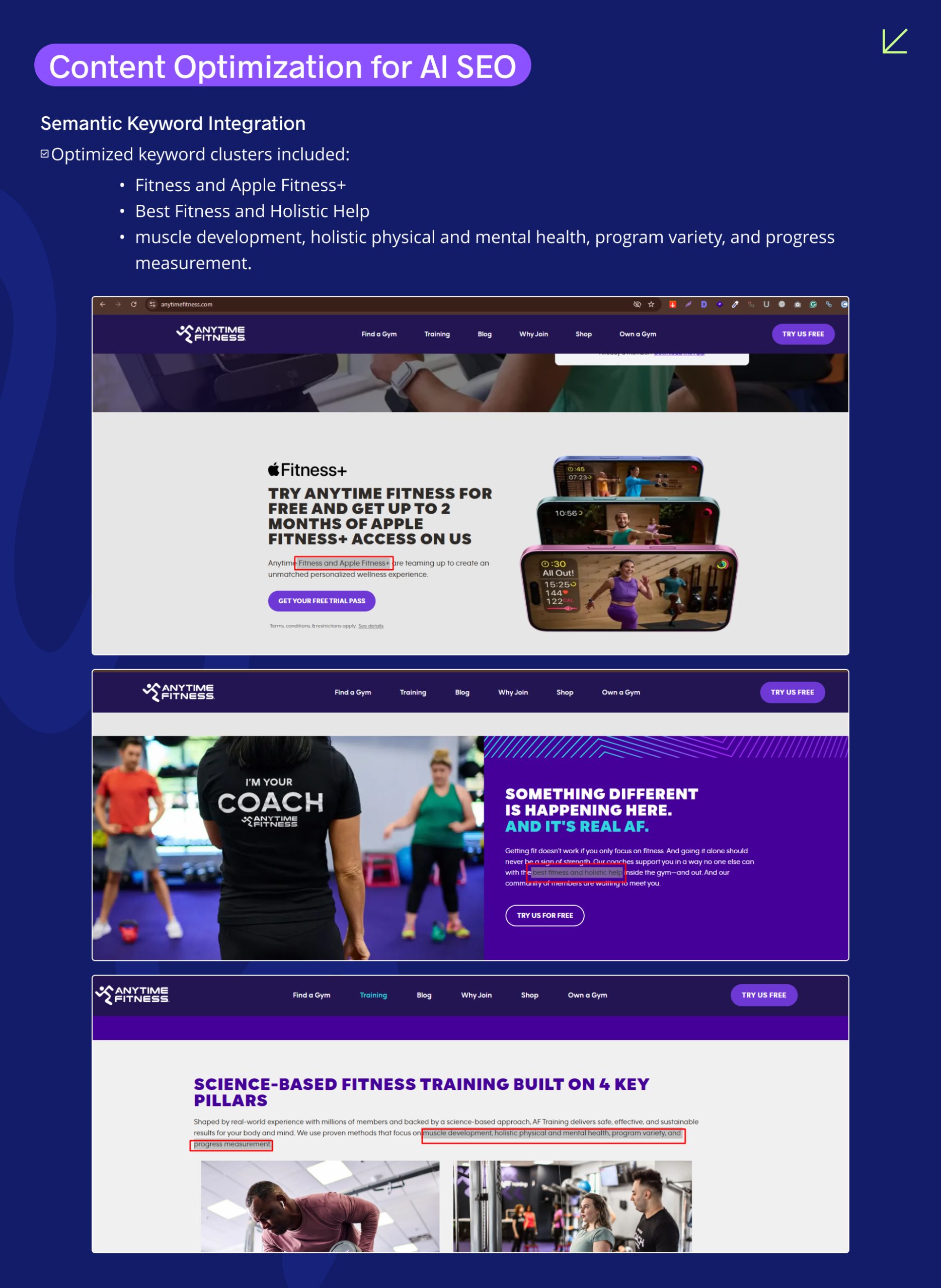 Fitness AI SEO Case Study | Page 3